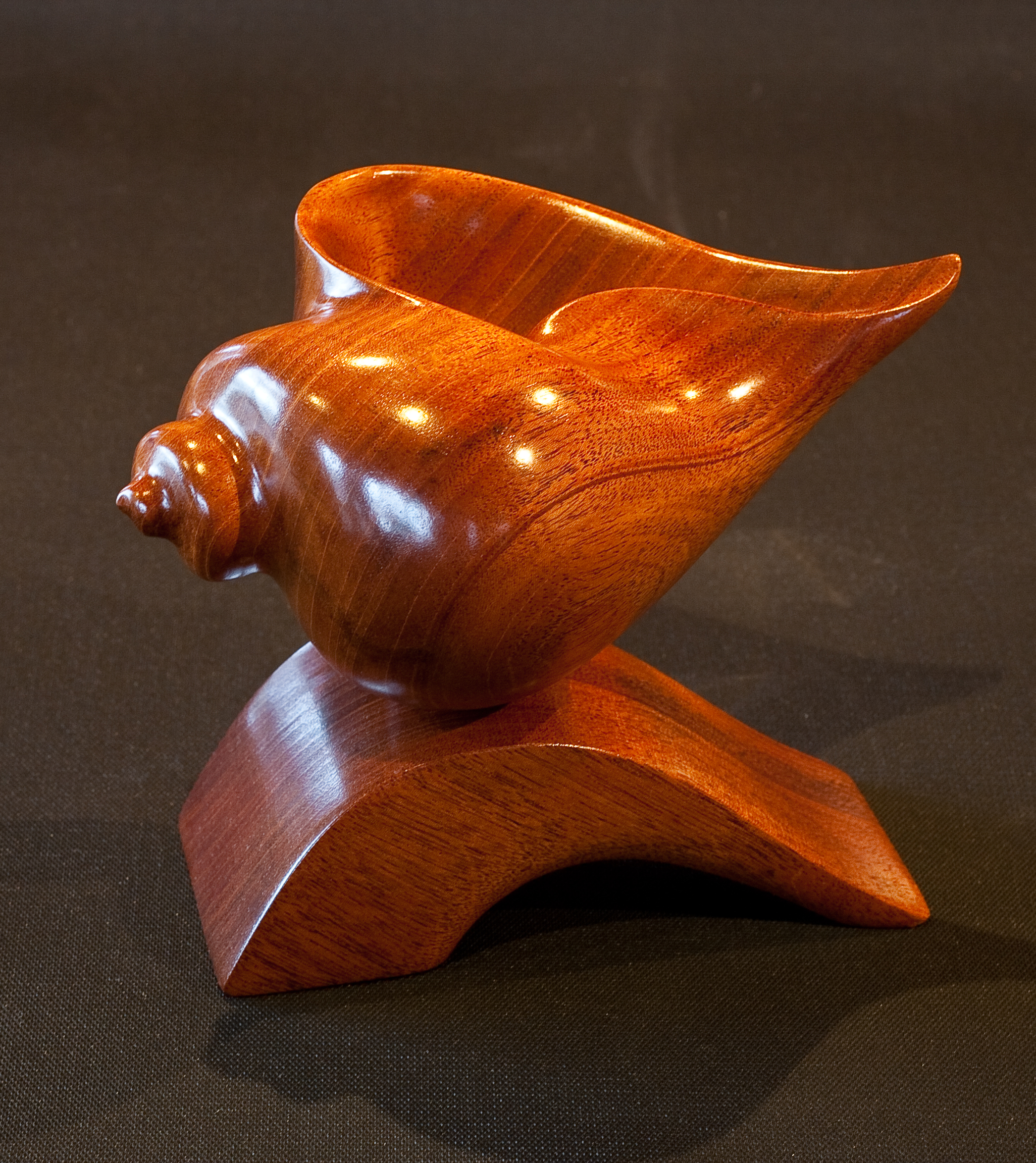 Mahogany Wood sculpture of a shell on a wooden base. Approximately 18 cm.